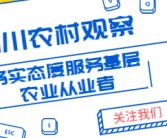 四川柑橘新品種來(lái)了！看看你家合適種什么？還有一份高效栽培技術(shù)等你查收！要種柑橘必看！