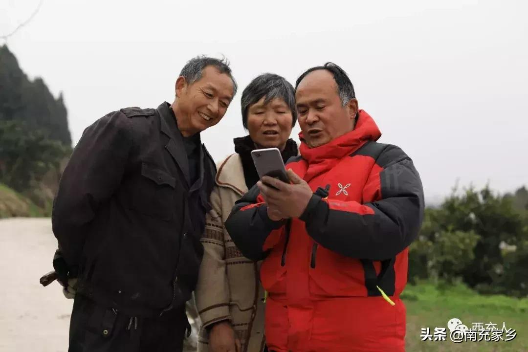 春見柑橘能夠冷藏嗎冬天會(huì)凍死嗎視頻_有沒(méi)有人能夠給點(diǎn)建議